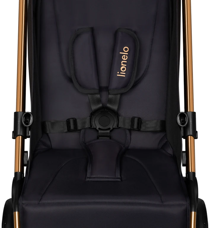 Коляска прогулянкова Lionelo Cloe GOLDEN MOMENTS